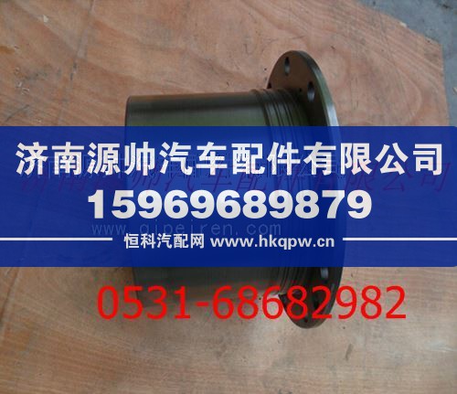 199112340029,陕汽德龙F3000轮边减速器总成,济南源帅汽车配件有限公司