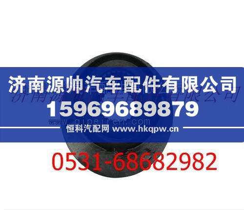 陕汽汉德车桥凸缘/DZ9112320631