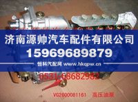 VG2600081161,重汽发动机高压油泵,济南源帅汽车配件有限公司