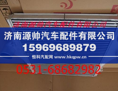 陕汽德龙F3000中冷器/DZ9112501501