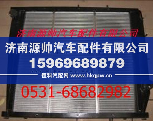 陕汽德龙F3000散热器 陕汽德龙F3000水箱/DZ95259532202