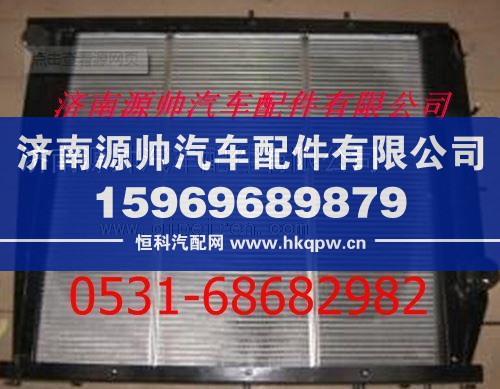 陕汽德龙散热器 陕汽德龙水箱/DZ95259532202