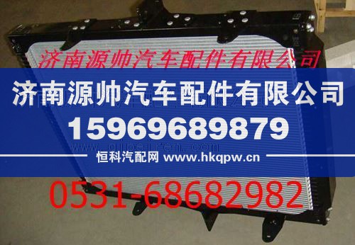 重汽豪沃散热器水箱/WG9725530011