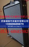 重汽金王子散热器 重汽金王子水箱