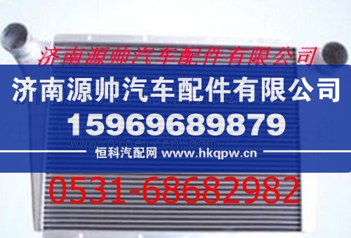 重汽斯太尔中冷器 斯太尔王中冷器/WG9112530351
