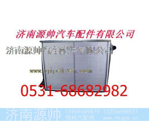 重汽斯太尔王08款散热器水箱