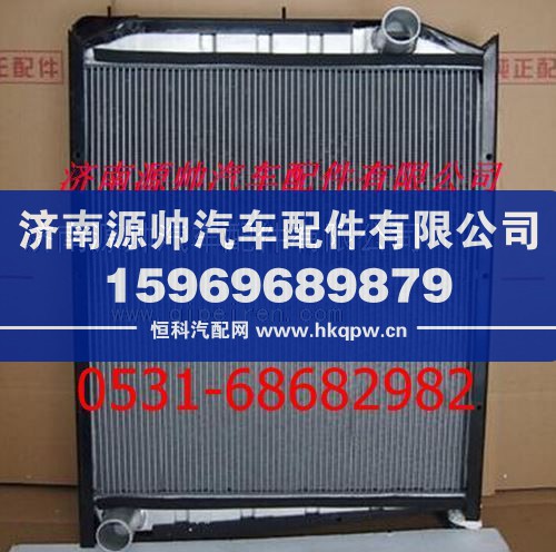 重汽斯太尔王散热器 重汽斯太尔王水箱/WG9625531323