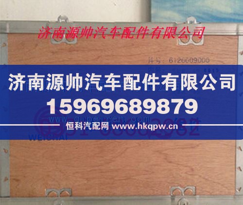 潍柴四配套/6126009000
