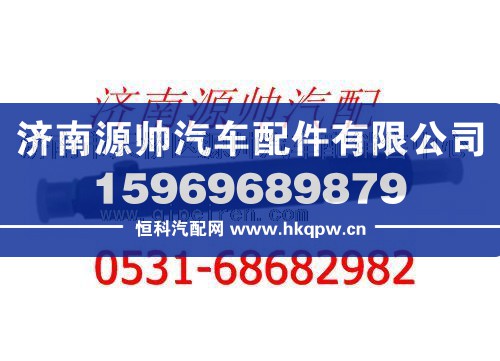 潍柴WD615发动机喷油器总成