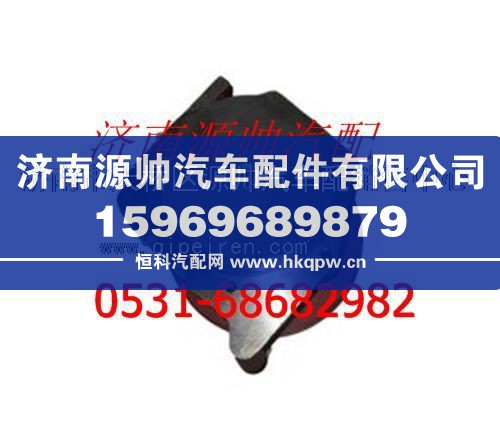 潍柴WD615发动机水泵/61500060229