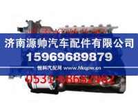 612601080376,潍柴WP10发动机高压油泵,济南源帅汽车配件有限公司