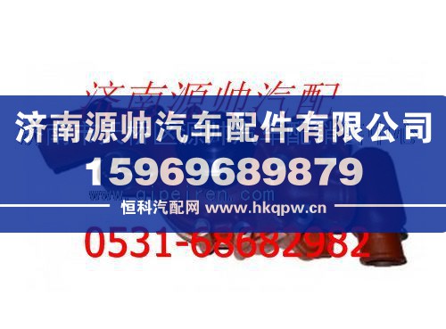 潍柴WP12发动机水泵图1