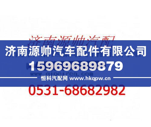 潍柴发动机喷油器总成/612600080311
