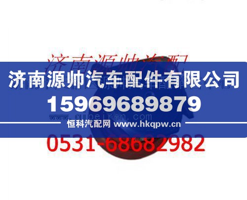 潍柴发动机水泵图1