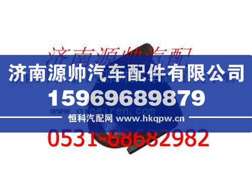 潍柴发动机水泵图1