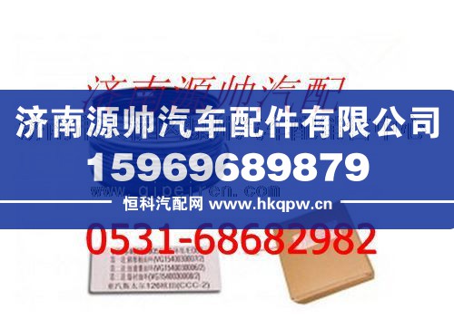 重汽D12活塞环/VG1540030005
