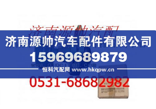 VG1062060010,重汽金王子发动机水泵,济南源帅汽车配件有限公司