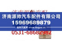 VG1062060010,重汽金王子发动机水泵,济南源帅汽车配件有限公司