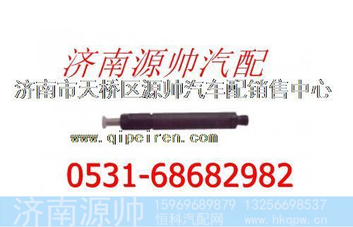 重汽喷油器总成