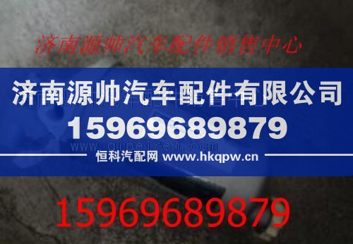 欧曼燃油粗滤芯1417011580002/1417011580002
