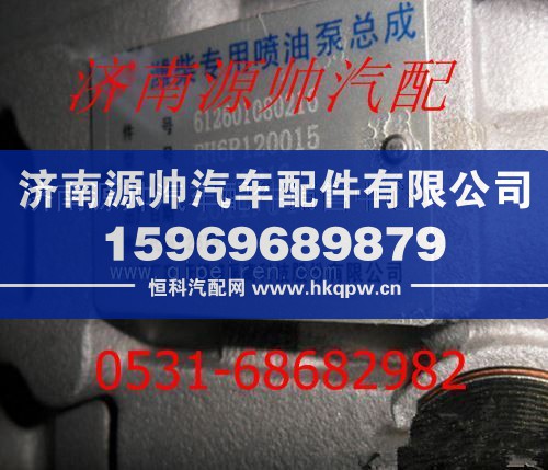 潍柴WD615发动机高压油泵总成612601080216/612601080216