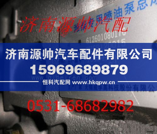 潍柴WD615发动机燃油泵612601080176/612601080176