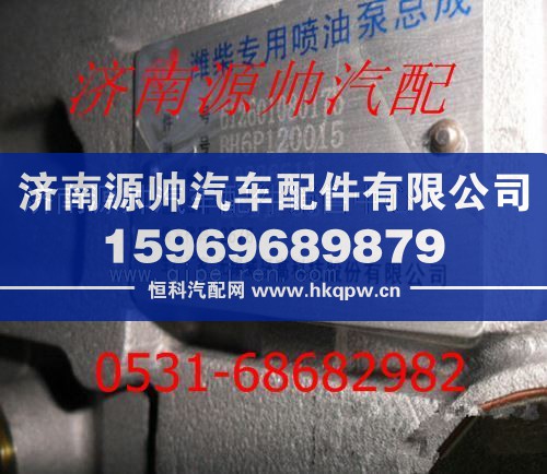 潍柴WD615发动机燃油喷射泵612601080175/612601080175