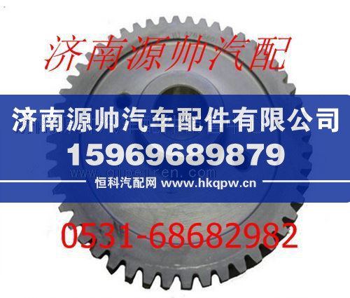 61560130064,潍柴发动机喷油泵齿轮61560130064,济南源帅汽车配件有限公司