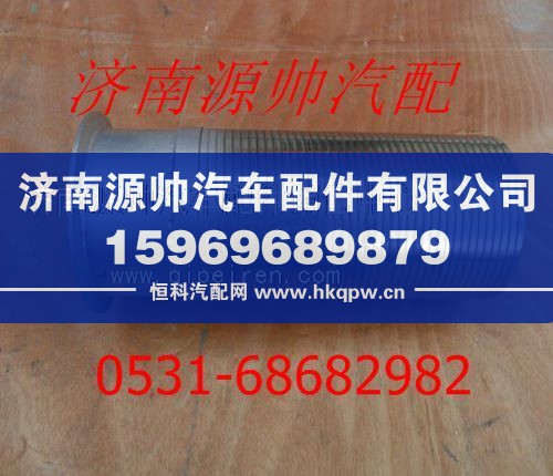 重汽豪沃挠性软管WG9725540053/WG9725540053