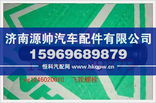 重汽发动机飞轮螺栓VG1246020010图1