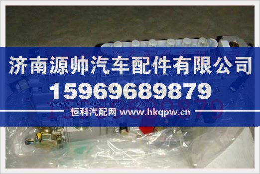 VG1096080130,重汽发动机高压油泵VG1096080130,济南源帅汽车配件有限公司