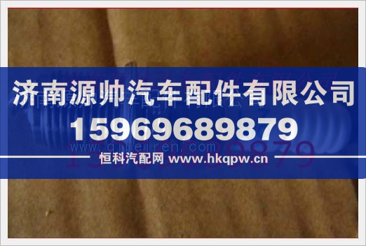 重汽发动机火花塞VG1560080701图1