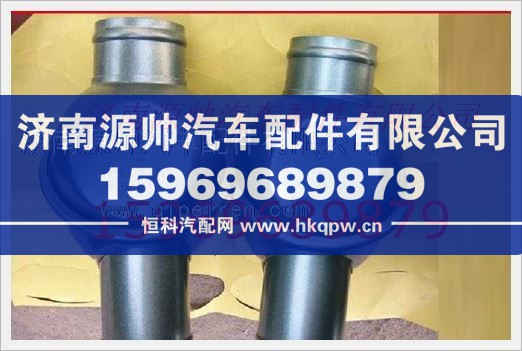 重汽发动机节温器总成VG14060135图1