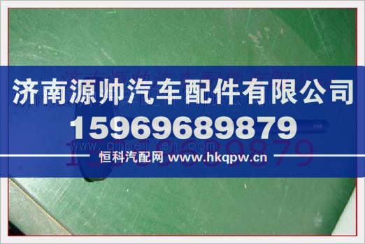 VG1096050015,重汽发动机进气门VG1096050015,济南源帅汽车配件有限公司