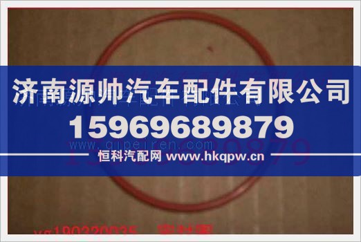 重汽发动机密封圈VG190320035图1