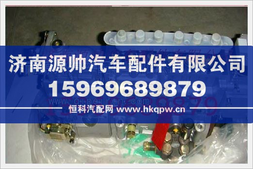 重汽发动机喷油泵总成VG1092080120/VG1092080120