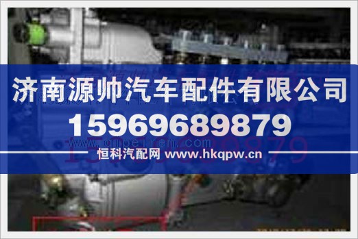重汽发动机喷油泵总成VG1093080180/VG1093080180