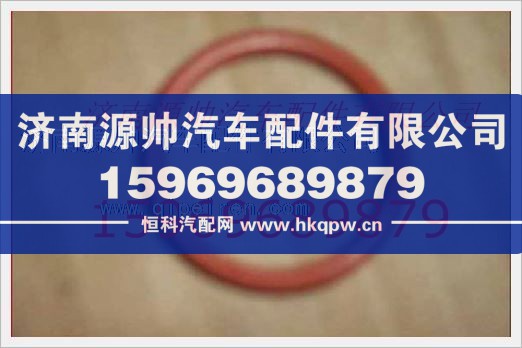 重汽发动机喷油器衬套密封圈VG1406060010