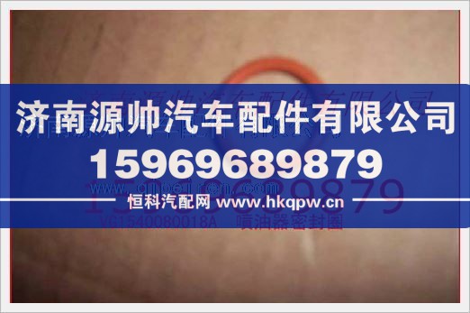 重汽发动机喷油器密封圈VG1540080018A/VG1540080018A