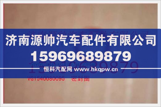 重汽发动机喷油器密封圈VG1540080095/VG1540080095