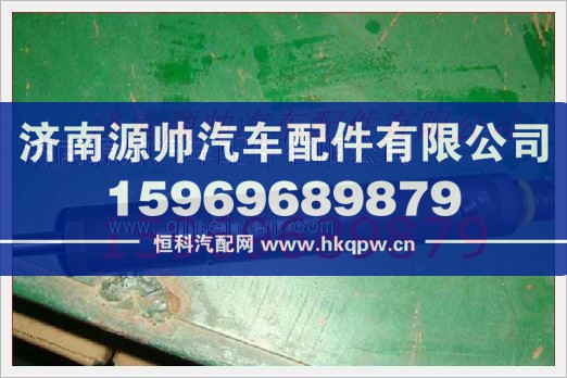 重汽发动机喷油器总成VG1095080085/VG1095080085