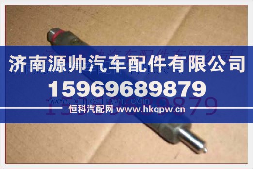 重汽发动机喷油器总成VG1560080276/VG1560080276