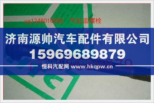 重汽发动机气缸盖螺栓VG1246010093/VG1246010093