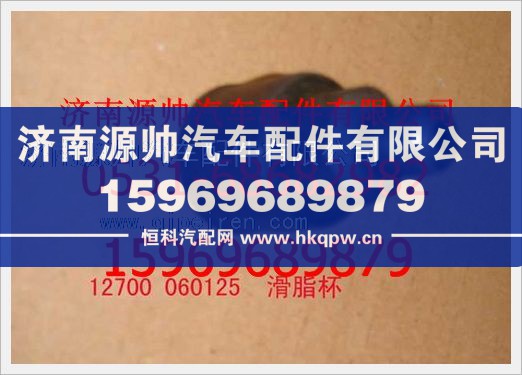 重汽豪沃滑脂杯12700 060125/12700 060125