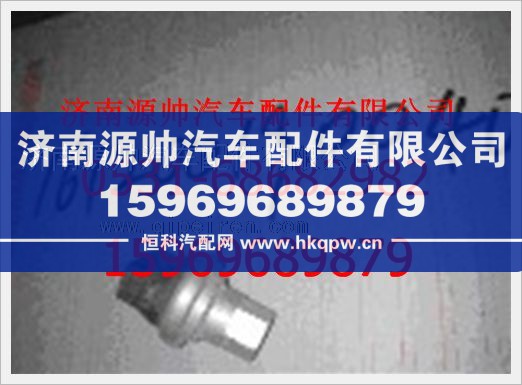 重汽豪沃空滤器堵塞开关161200190040/161200190040