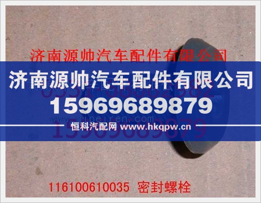 重汽豪沃密封螺钉116100610035/116100610035