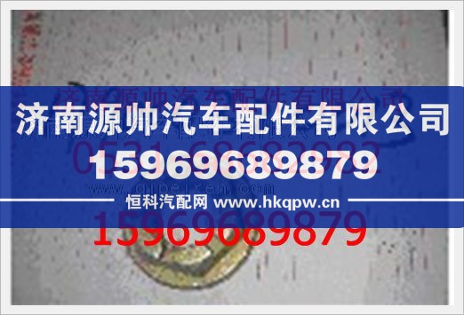 重汽豪沃凸缘螺母WG79000320013图1