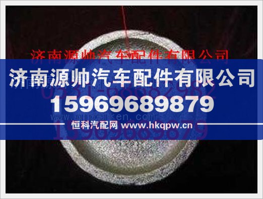 重汽豪沃右支承环WG1600430019R/WG1600430019R