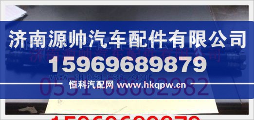 重汽豪沃制动软管总成WG17017360480图1