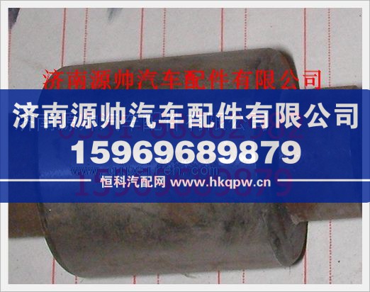 重汽豪沃制动蹄滚子WG1779R18图1